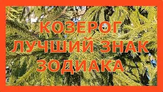 КОЗЕРОГ - ЛУЧШИЙ ЗНАК ЗОДИАКА. Почему козерог лучший знак зодиака. Гороскоп Козерог