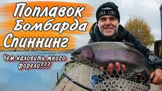 Чем наловить много форели? СПИННИНГ БОМБАРДА или ПОПЛАВОК!