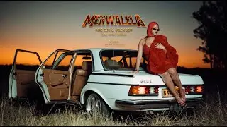 FME DJ's & Vacks99 - MERWALELA (feat. MPHO SEBINA) - Official Music Video