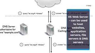 Types of Web Servers explained & How do They Work?