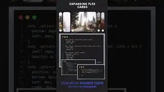 24/100 Html/CSS Animation: Expanding flex cards🔥 #shrots  #frontenddeveloper #htmlcss