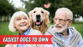 These Surprising Dog Breeds are PERFECT for Seniors