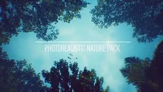 Photorealistic Nature Animation Video Pack