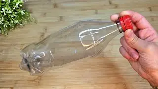 Mosquito Trap ! Trick to Eliminate Mosquitoes with a Plastic Bottle