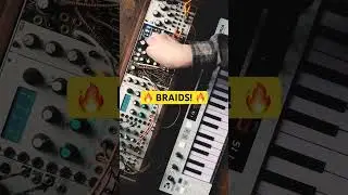 Having so much fun exploring Mutable Instruments Braids!