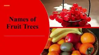 Names of Fruit Trees for Kids