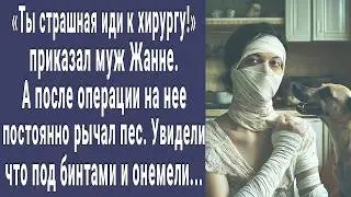 Иди к хирургу! приказал муж-миллионер Жанне. А когда все увидели что под бинтами побледнели...