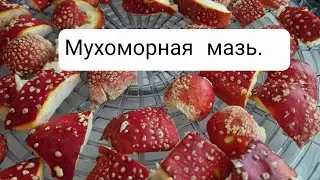 Мазь из мухоморов. Апдейт 2022.
