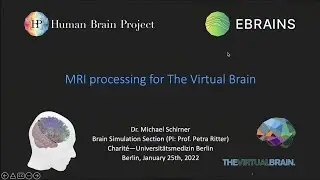 MRI Processing for the Virtual Brain - Dr. Michael Schirner