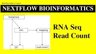 Bioinformatricks  | Nextflow for RNA Seq Read Count Assignment | Bionformatics Nextflow