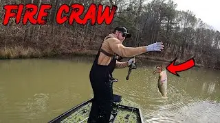 Fire Craw ONLY Challenge - I Wrecked Them!