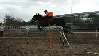 прыжки на лошади Прибой (и унылый парень) 18.04.2019