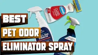 Best Pet Odor Eliminator Spray In 2025 - Top 10 Pet Odor Eliminator Sprays Review