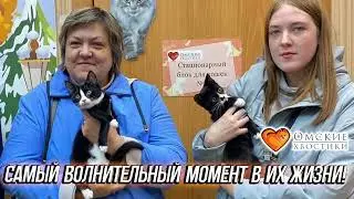 Самый волнительный момент в их жизни! Дорога домой | Клим и Комета