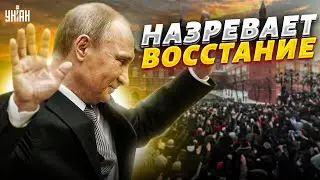 Путин доигрался! На болотах назревает восстание. Царю осталось недолго