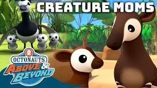 Octonauts: Above & Beyond - Creature Moms | Mother's Day Special! |  @Octonauts​