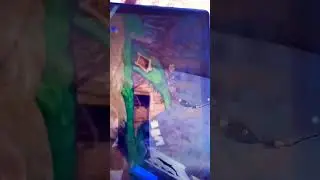 Жихарка и лиса