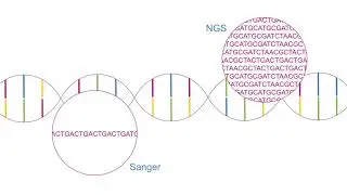 Learn with Illumina: Using NGS Instead of Sanger Sequencing