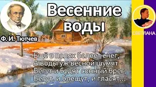 Весенние воды. Тютчев Ф. И. Ещё в полях белеет снег, А воды уж весной шумят...