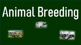 Introduction to Animal Breeding | Basic Terms in Animal Breeding