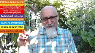 Patio Garden Open Discussion [ASMR] --- Saturday, August 31 (TODAY) , 5:00 PM to 7:00 PM PST