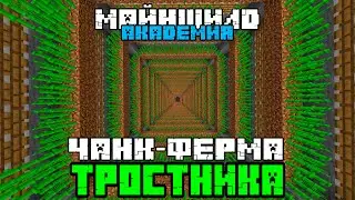 #3  Ферма Тростника На Весь Чанк На Майншилд Академии | Майкрафт Выживание Без Модов | Пират Кирка