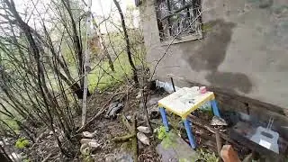 у дачный лесоповал