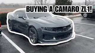 Guaranteed Method to Buy Your Dream Car!