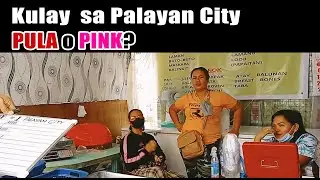 KALYE SURVEY #1 - Palayan City Nueva Ecija | President & Vice President 2022