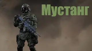 МУСТАНГ. АРЫСТАН. КАЛИБР.