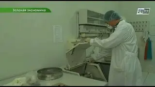 Зеленая экономика. О работе Института ядерной физики