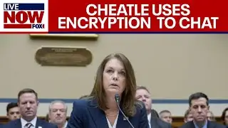 Secret Service Cheatle admits to using encryption devices to communicate | LiveNOW FOX