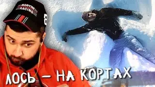 HARD PLAY СМОТРИТ ЛОСЬ НА КОРТАХ