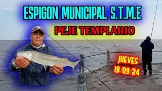 ESPIGON MUNICIPAL S.T.M.E - PEJERREY TEMPLARIO