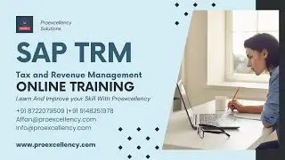 SAP TRM Online Training with Proexcellency: Master the Art of Treasury Risk Management