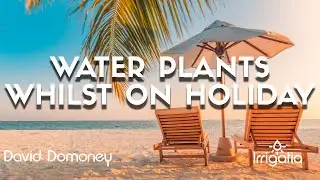 Quick Tip on how to water plants whilst you're on holiday