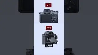 Sony A7III or A7IV? 🤔