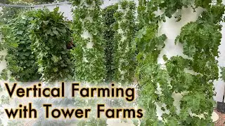 Hydroponic Vertical Farming with Tower Farms