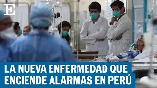 PERÚ | El síndrome de Guillain-Barré suma más de 200 casos | EL PAIS