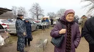 3 серия. Голуби и цены. Птичий рынок. Кропоткин 25.12.2022.
