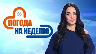 Осень порадует теплом! Прогноз погоды с 5 по 10 ноября | Погода в Беларуси | Плюс-минус
