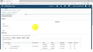 Deep Dive: Oracle iStore - Site Admin and Customer Application (on Oracle EBS R12.2.x)