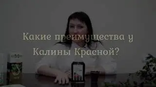 Настойка из Калины Красной – чем полезна и как применять