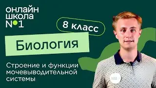 Строение и функции мочевыводительной системы. Видеоурок 24. Биология 8 класс