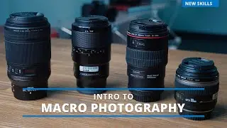 Intro to Macro Photography