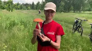 Первые грибы лисички и подосиновик 2021 в киевском лесу. Отчёт за 12.06.2021