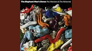 The Elephant Man's Bones