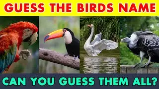 Guess The Birds Name (Quiz)!!