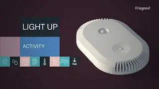 Light Up Activity