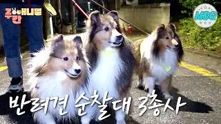 귀여운 순찰 현장! 반려견 순찰대 3총사 #주간애니멀 #MSG #생방송 오늘 저녁 MBC  220510방송